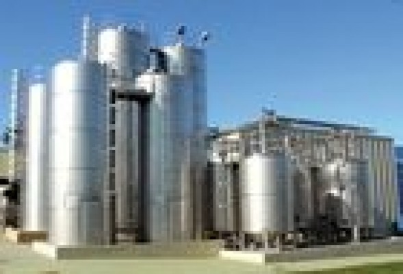 CAPSA, primera empresa de alimentación española que logra el sello 500+