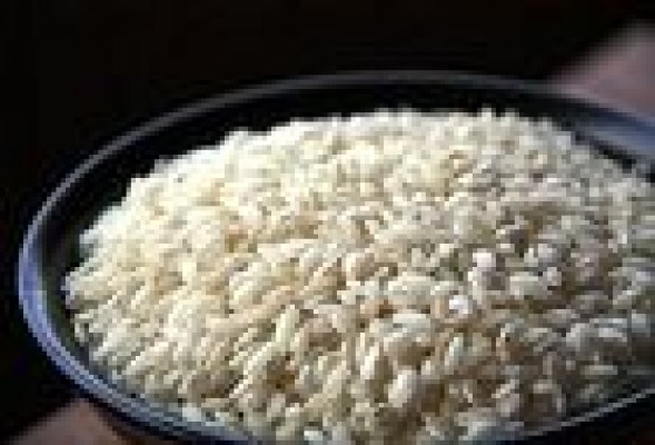 Ebro Foods desembarca en India tras comprar una planta arrocera