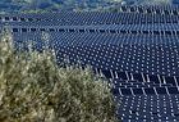 Uría, Garrigues, Cuatrecasas, Allen & Overy, Bird y Clifford hacen negocio con la reforma energética