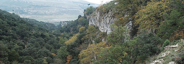 Protecting Biodiversity, by Antoni Aguilella 