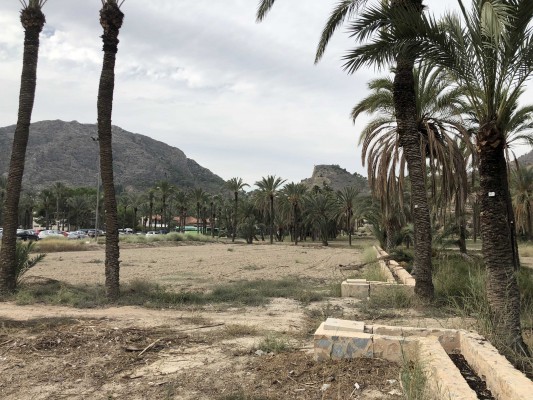 Cambiemos Orihuela ve anomalías en el cese de una técnica que señaló una baja temeraria  