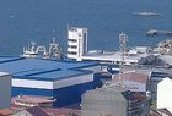 Los minoritarios de Pescanova piden cárcel para el consejo