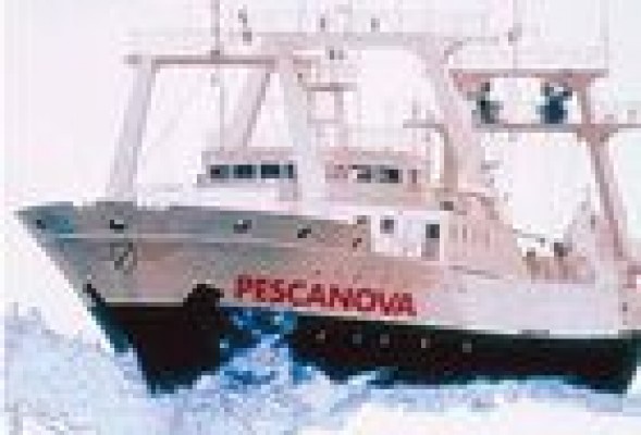 Pescanova admite que podría haber 
