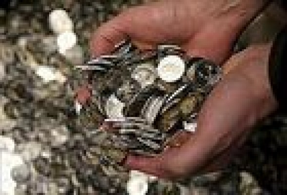 El Tesoro busca captar hasta 9.500 millones esta semana en letras y bonos