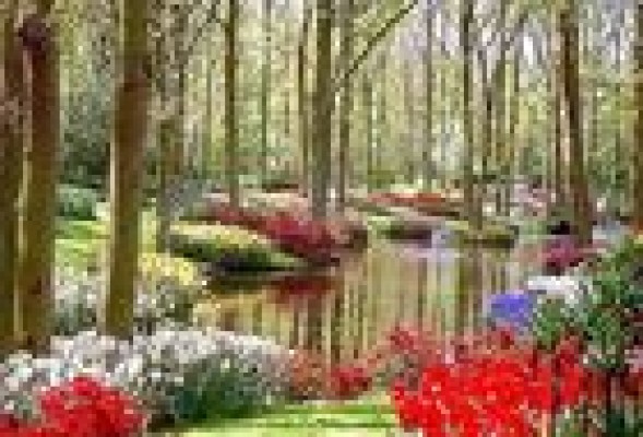 Valencia: tardes de concierto en el Jardín Botánico 