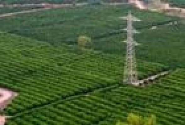 Porxinos también cae: El TSJCV anula el pelotazo urbanístico del Valencia