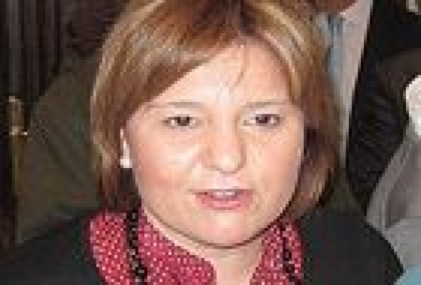 Bonig destaca que el AVE tendrá un impacto de 70 millones de euros anuales y generará 735 empleos