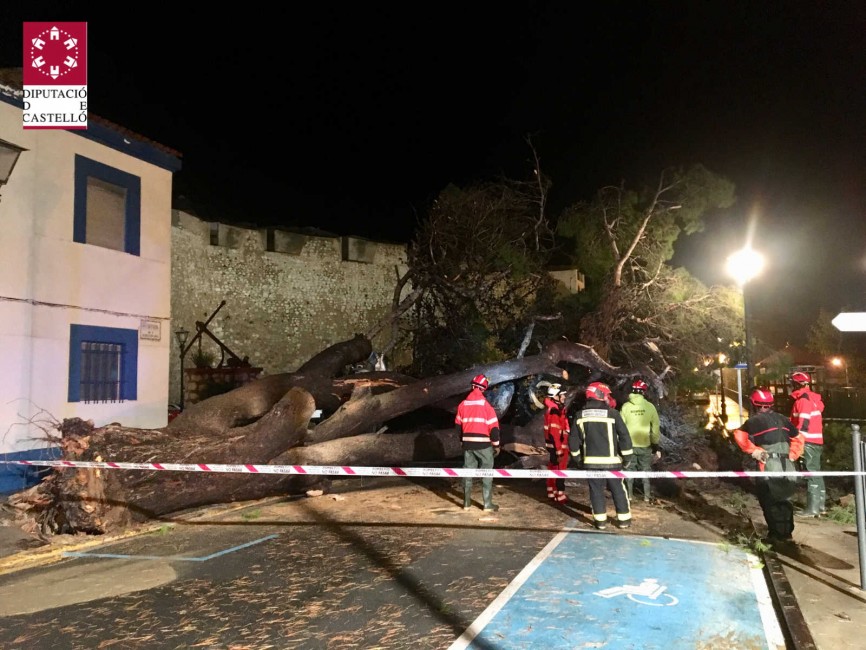 Efectivos del Consorcio Provincial de Bomberos trabajan en Alcalá, donde cayeron varios árboles sobre la vía pública. - 