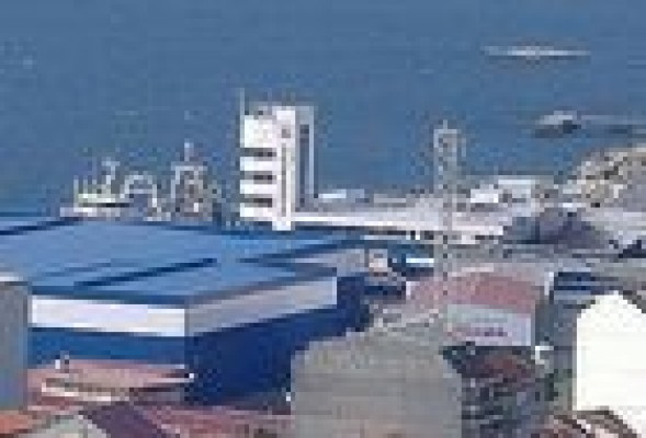 Nueve accionistas se querellan contra el presidente de Pescanova