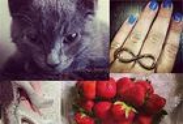 Cómo ser lo más en Instagram: cursillo acelerado