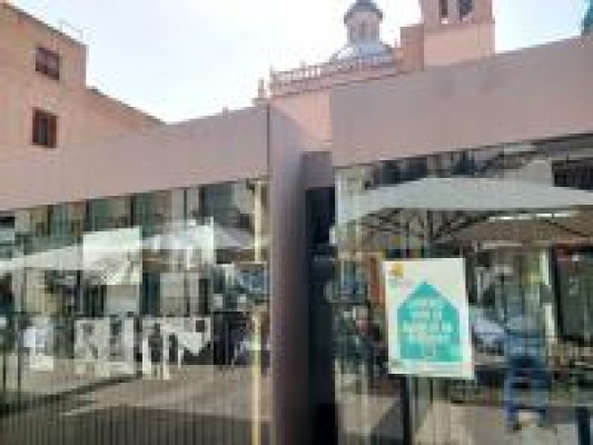 Montiel defiende que el nombre Podemos debe ir antes que el de Compromís en las papeltas
