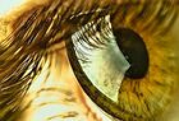 Llegan las primeras lentillas con zoom