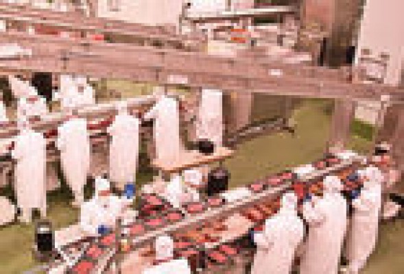 Martínez Loriente incrementa sus ventas un 8% y alcanza los 541 millones de facturación