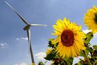<strong>Depresión 'renovable'</strong>: el nuevo real decreto llevará a la ruina al sector