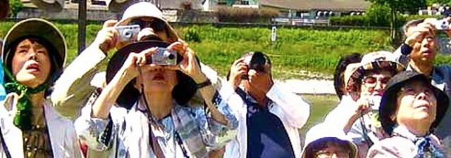 ¡Vuelve el turismo! La actividad turística rompe cinco trimestres en negativo, según Exceltur