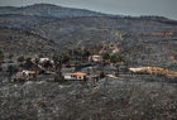 TRADUCCIÓN: Incendios forestales, quiebras sociales 