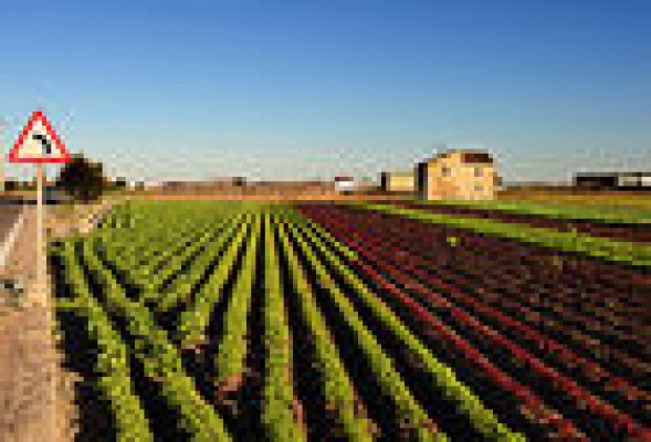PROYECTO<br /><strong>Un corredor para bicicletas y peatones en la huerta de Valencia</strong>