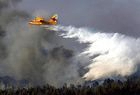 FUEGO<br /><strong>El incendio de este lunes en Cofrentes calcina cinco hectáreas </strong>