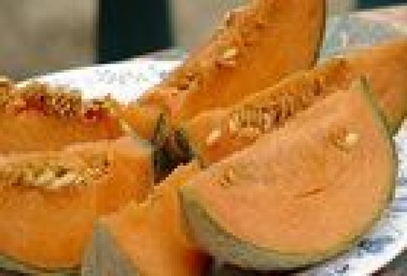 Lanzan una aplicación para móvil para conocer el origen de los melones