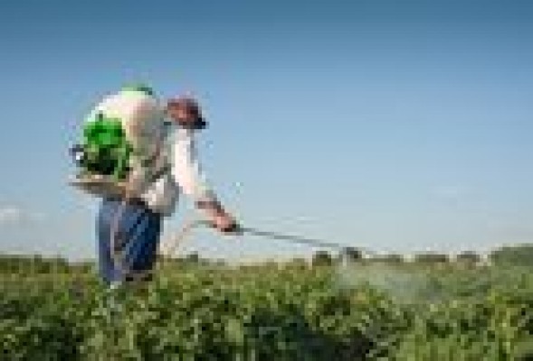 Agricultura impulsa la ejecución de un plan nacional de productos fitosanitarios