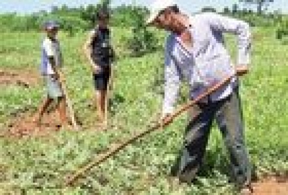 Los retos de la agricultura familiar para garantizar su viabilidad