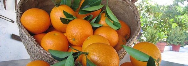 La valenciana Naranjas Lola, proveedora de la Casa Real, diversifica su negocio