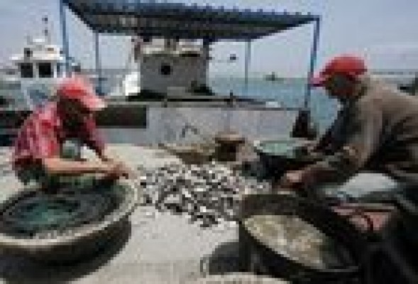 El Gobierno promete ayudas compensatorias a los pescadores