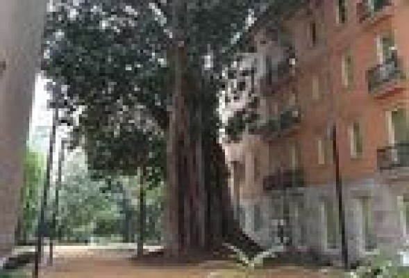 Las Corts saca a licitación las obras de adecuación del palacio de Conde Trénor por 250.000 euros