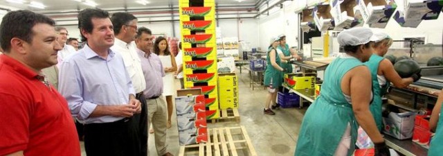 Císcar anima a las cooperativas agrarias valencianas a ganar tamaño