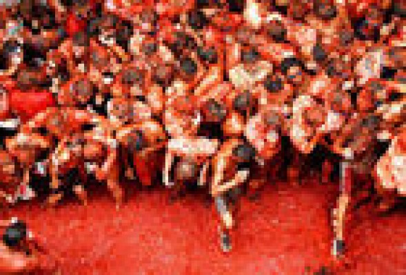 Buñol se preprara para acoger su primera Tomatina privatizada