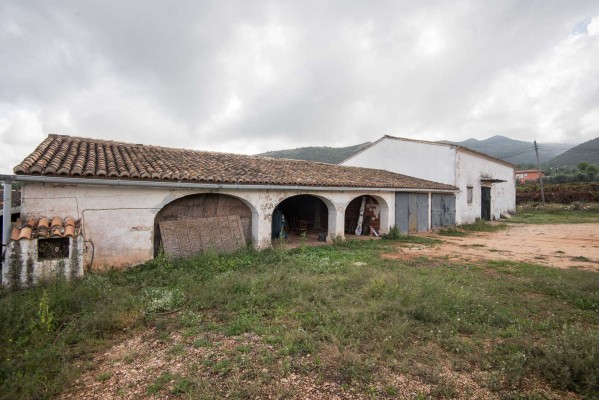 Bodegas Mendoza alquila la finca 'Abargues' de Llíber para producir la variedad 'giró' de alta gama 
