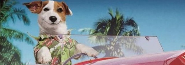 Comienza el rodaje de la comedia 'Pancho, el perro más rico de España'