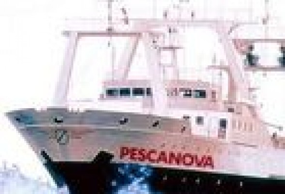 Deloitte rebaja en un 77% el valor de la marca Pescanova