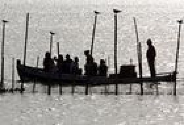 El Ayuntamiento anuncia cursos de manejo de embarcaciones tradicionales de la Albufera