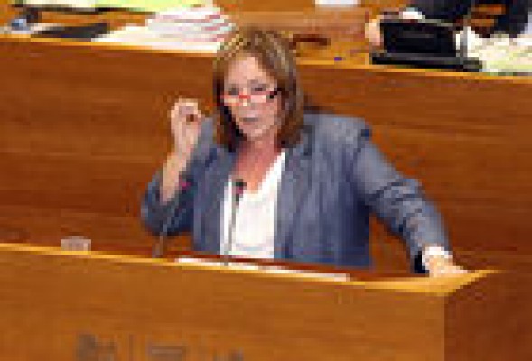 Sanz (EUPV) asegura que el 