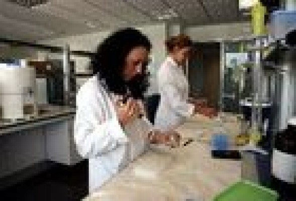 La UMH pone en marcha tres nuevas empresas de base tecnológica