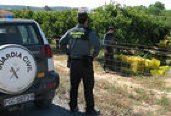 45 agentes de la Guardia Civil velarán por los robos del campo en la Comunitat