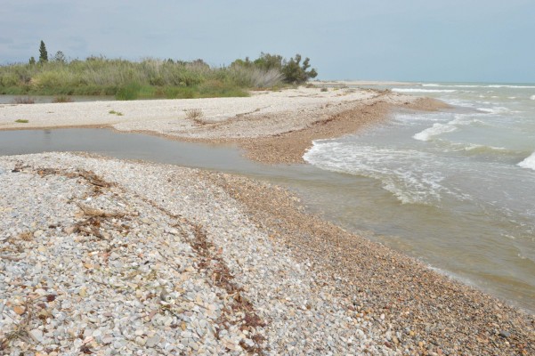 La gola sud de la desembocadura del Millars s'obri a la mar després de més d'1 any tancada