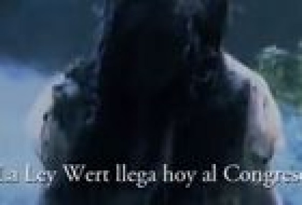 Los jóvenes socialistas publican #WalkingWert, un vídeo viral para mostrar su oposición a la 'ley Wert'