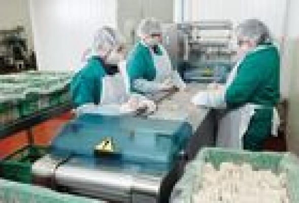 El mercado laboral español, uno de los menos eficientes del mundo