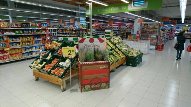 Missflor.es, primera empresa en España especializada en flores y plantas para supermercados