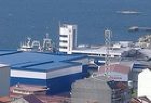 BDO recomendó aprobar las cuentas de Pescanova 72 horas antes del preconcurso