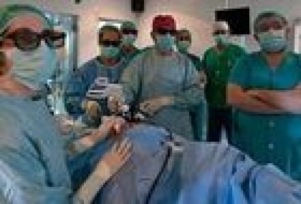 Utilizan una técnica 3D para ver con detalle el desarrollo del tórax en humanos