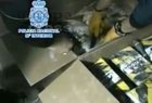 Detenidos cinco 'narcos' en Picanya que poseían 10 millones de euros en efectivo y 452 kilosd e cocaína