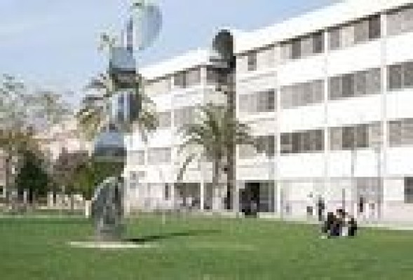 Los alumnos de la UPV no tendrán que cursar un máster para acceder al doctorado