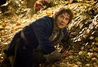 <em>El Hobbit 2</em><br /><strong>El despilfarro de Nueva Zelanda</strong>