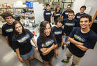 La Universitat de València busca estudiantes para competir en el iGEM 2014