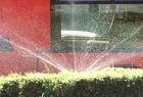 El 70% de las zonas verdes de Alicante se sostiene con agua reutilizada