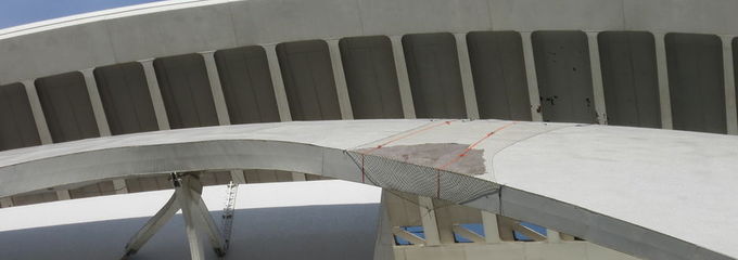 Buch confirma que tendrán que retirar todo el trencadís del Palau de les Arts pero se hará 