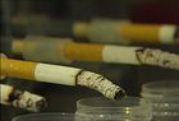 La Universidad de Alicante 'inventa' el tabaco no tóxico